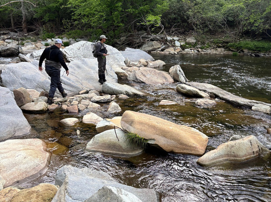 The Speckled Trout Outfitters-布洛英罗克必去景点