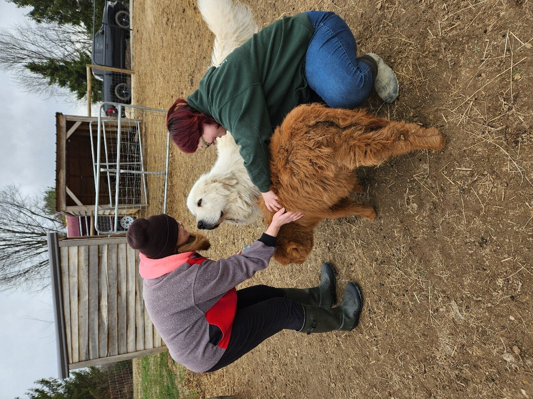 Picture Picture Ranch-Lancaster必去景点