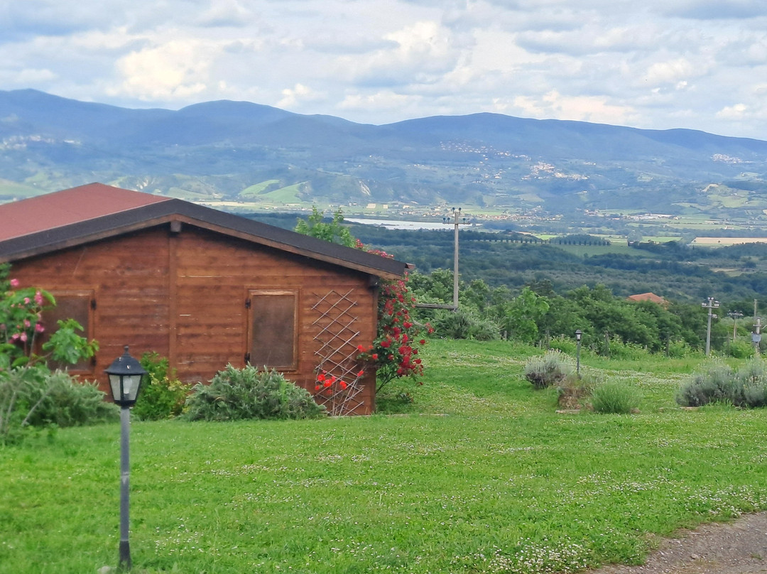 L'oca bianca al Povile