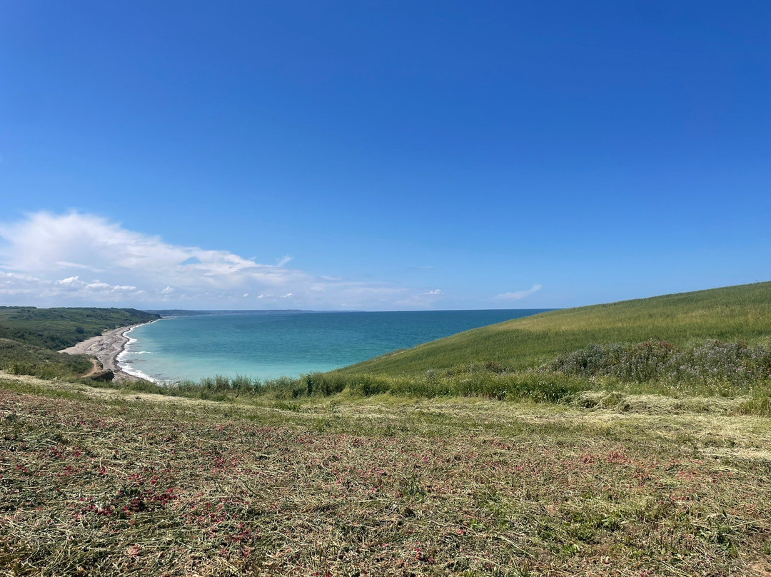 Riserva Naturale di Punta Aderci景点图片