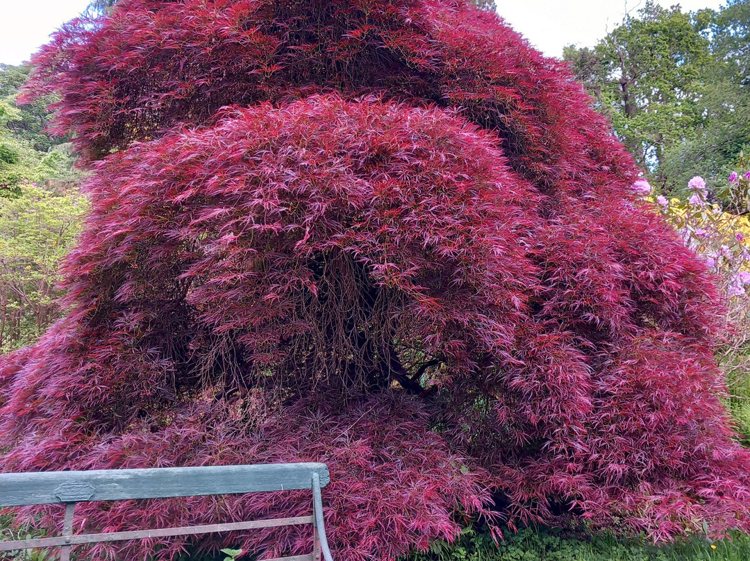 The American Garden-海斯必去景点