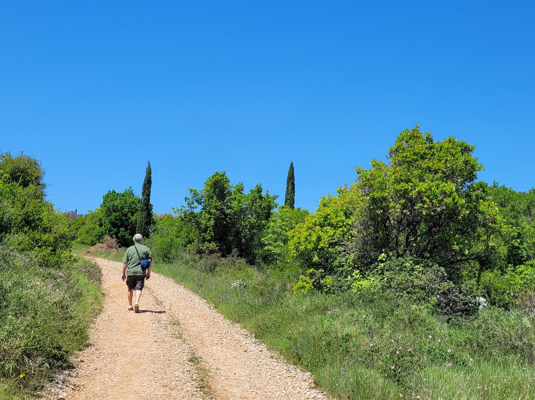 Footpath Cavtat - Radovčići-察夫塔特必去景点