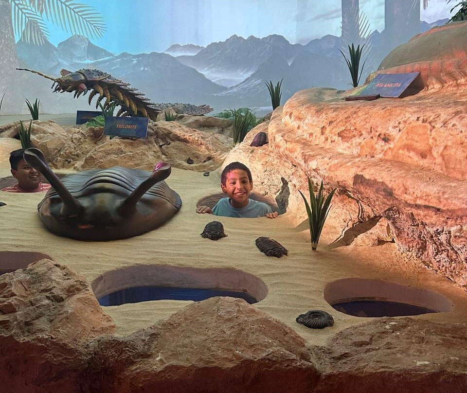 Museo del Desierto-萨尔蒂必去景点