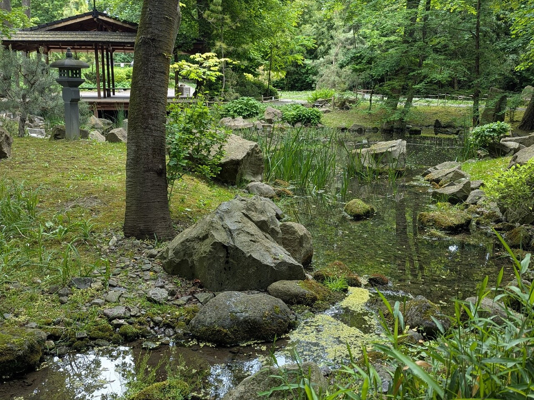 Japanese Garden-圣安德烈必去景点