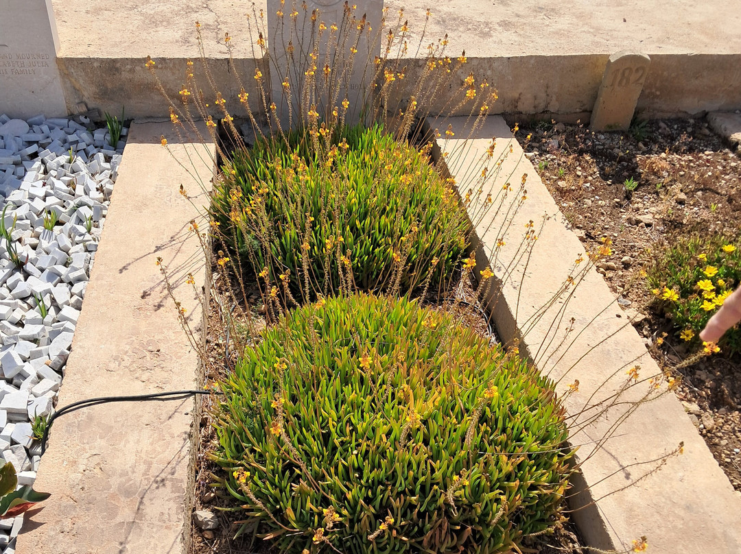 Kalkara Naval Cemetery-Xghajra必去景点