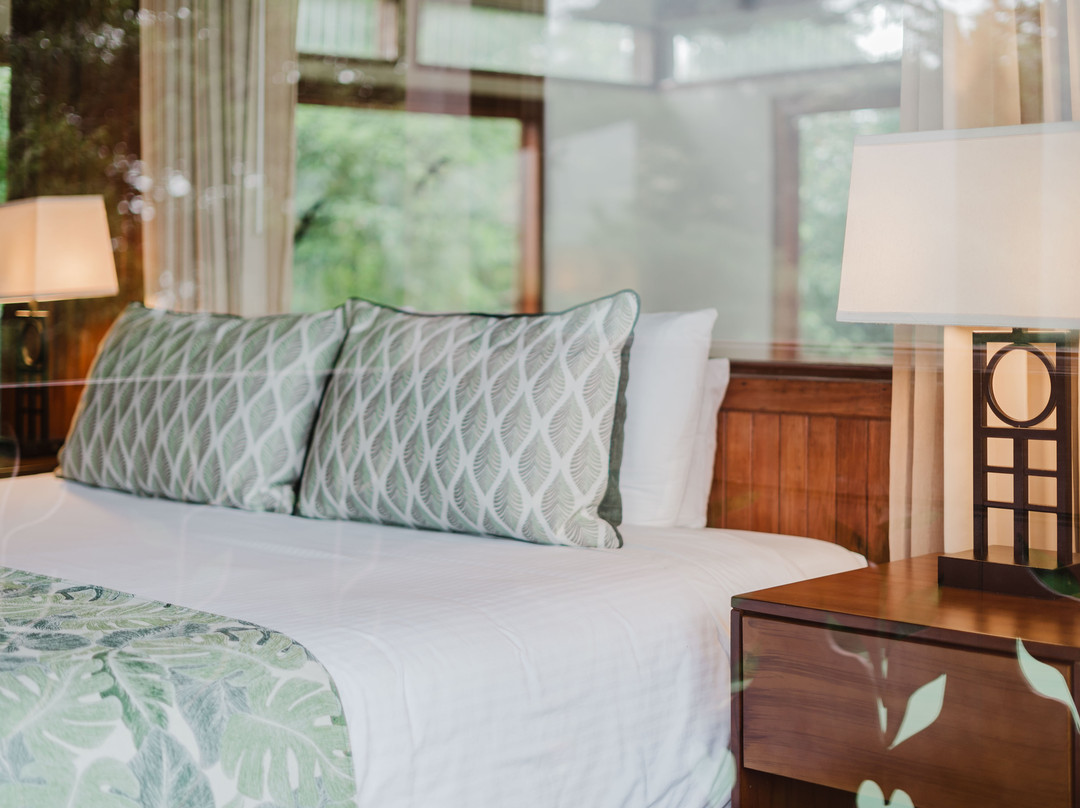 Hotel Heliconia主图