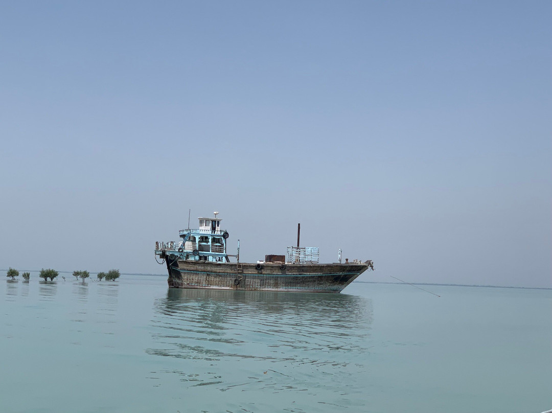 Mangrove Forests of Qeshm景点图片