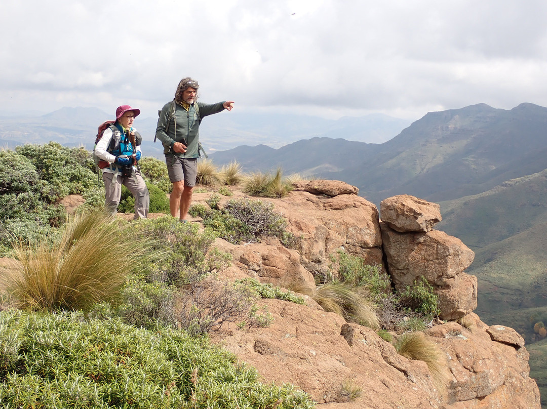 Biwakwango-德班必去景点