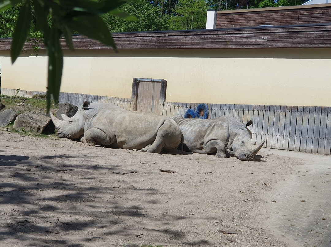 Allwetterzoo Munster景点图片