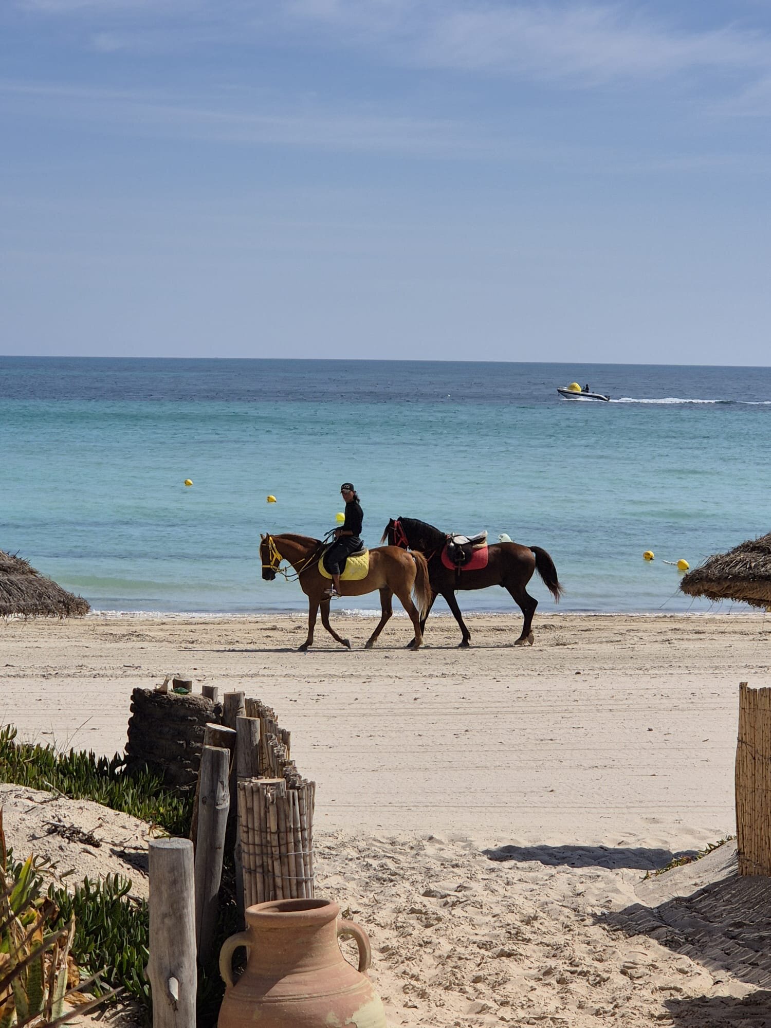 Villa Azur Djerba-泳池