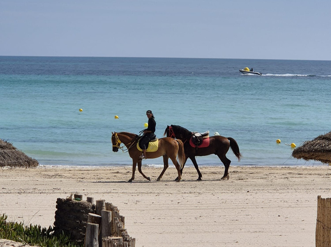 Villa Azur Djerba主图
