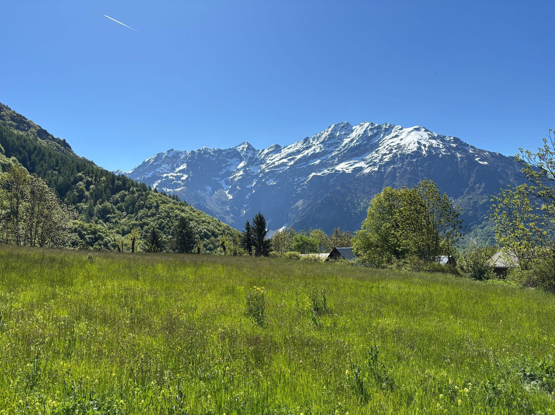Altimood Rando & Raquette Alpes Du Sud-Saint-Firmin必去景点