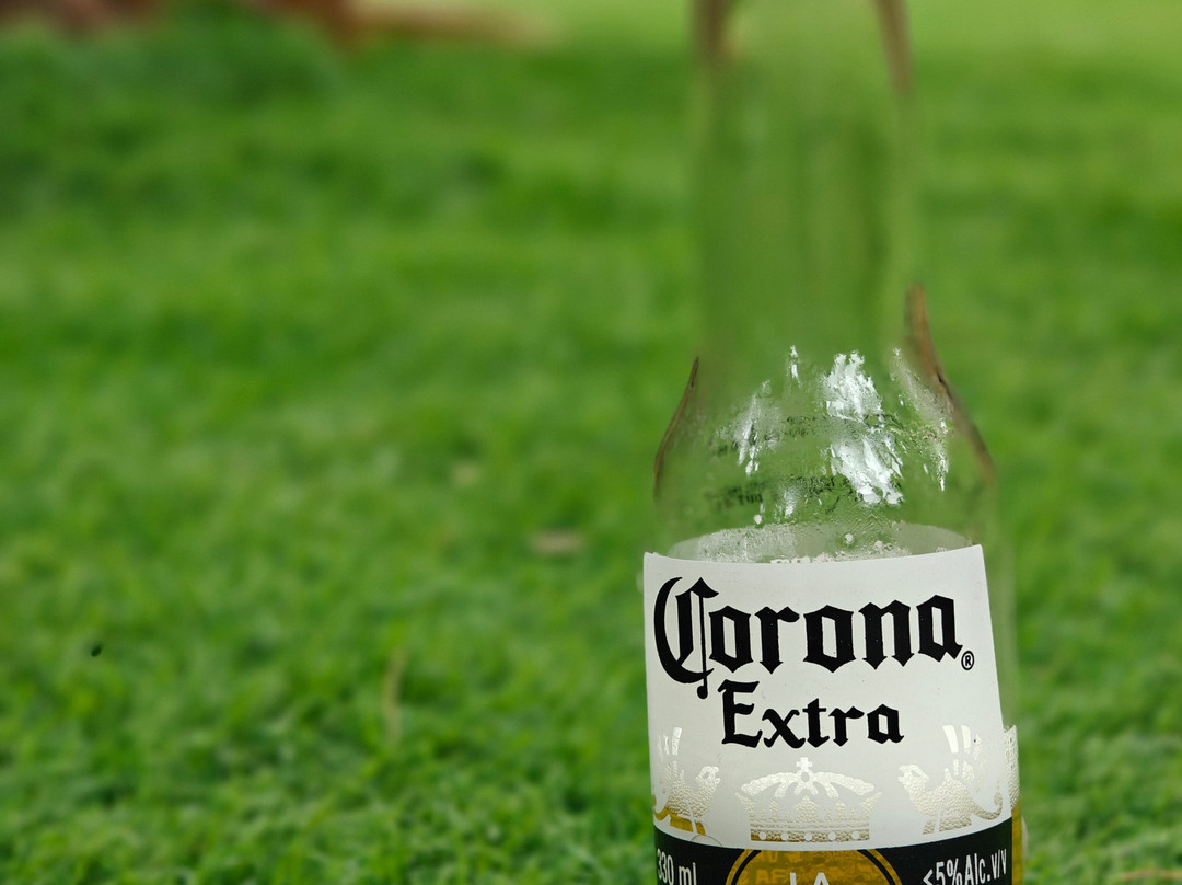 Amadi Beachfront Resorts主图