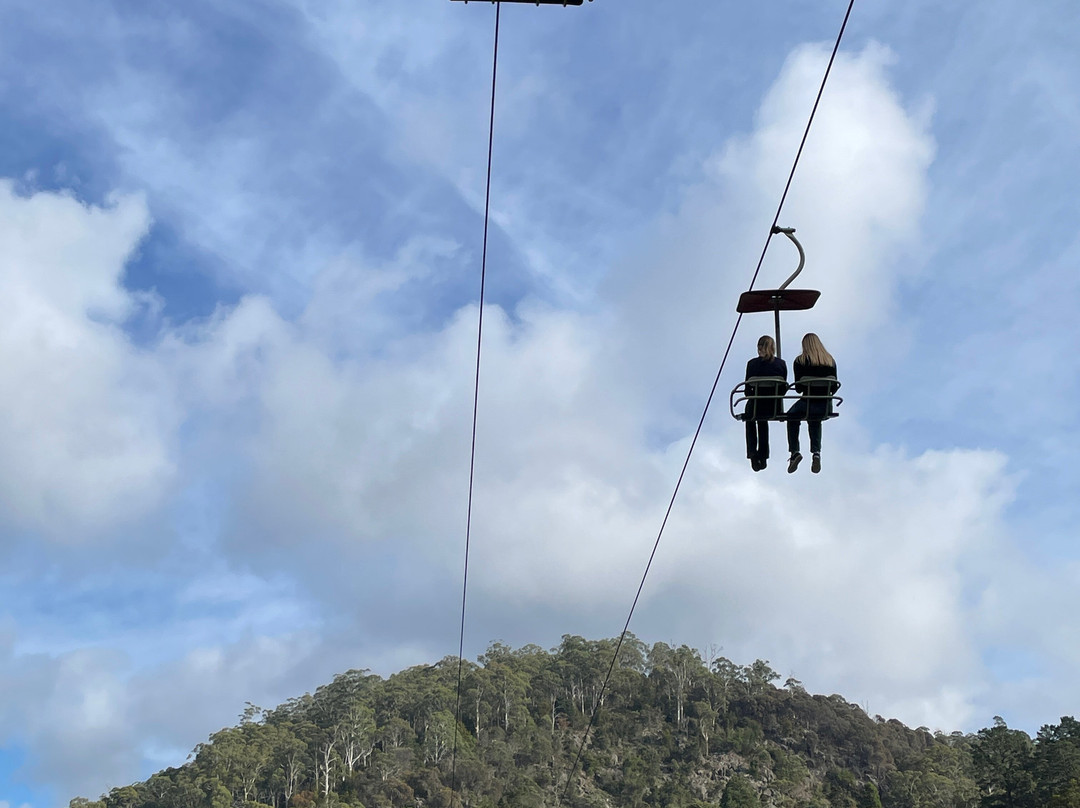 Gorge Scenic Chairlift-朗塞斯顿必去景点