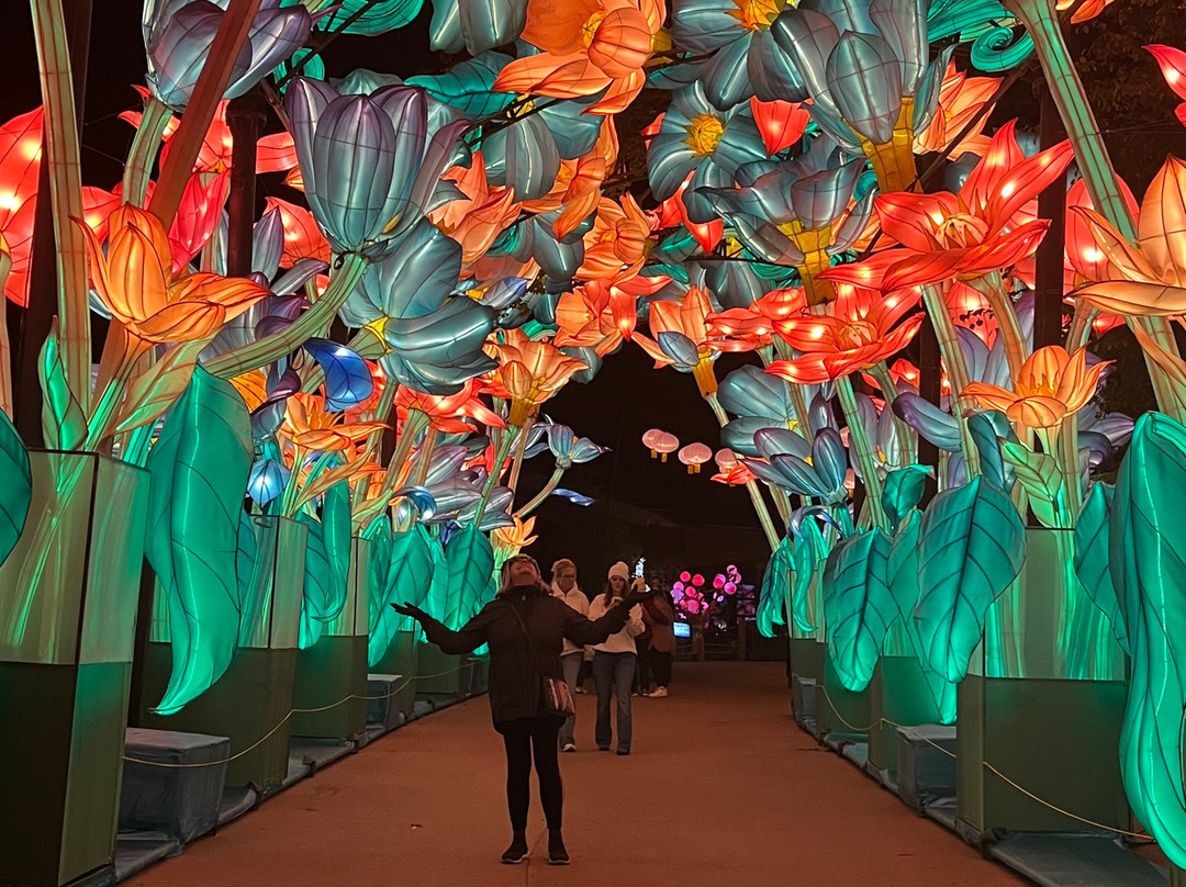 John Ball Zoo-大急流市必去景点