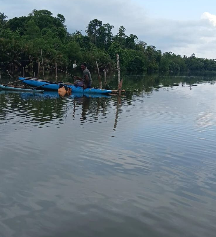 Madu River Safari-巴拉碧提雅必去景点