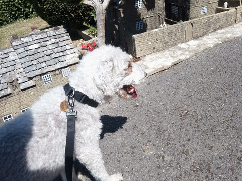Corfe Castle Model Village-Corfe Castle必去景点
