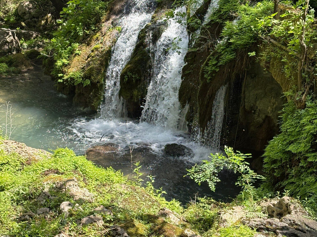 Adventure Park Peć Mlini景点图片