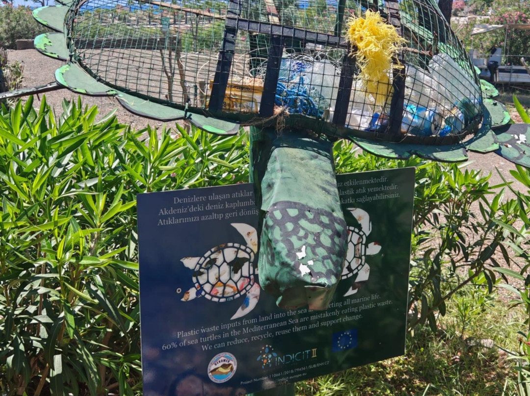 The Kaptan June Sea Turtle Conservation Foundation景点图片