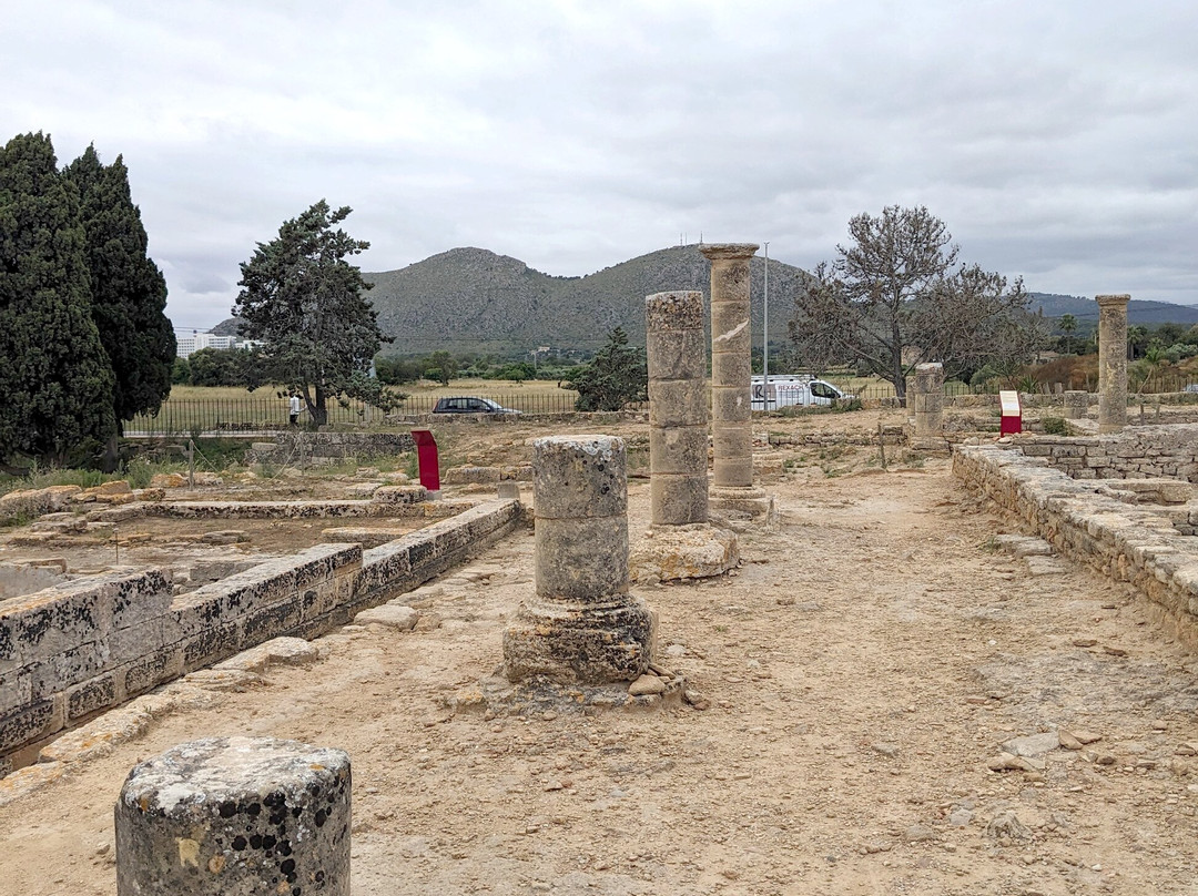 Ciutat Romana de Pollentia景点图片