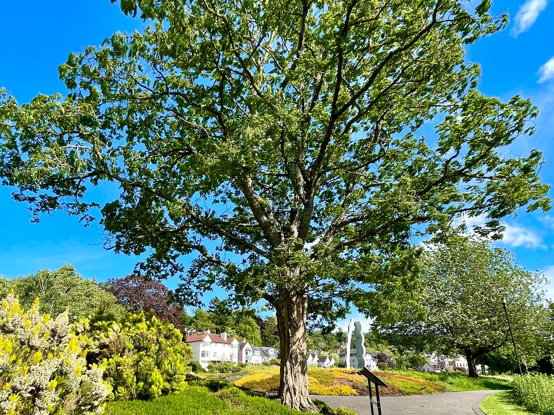 River Tay Public Art Trail-珀斯必去景点