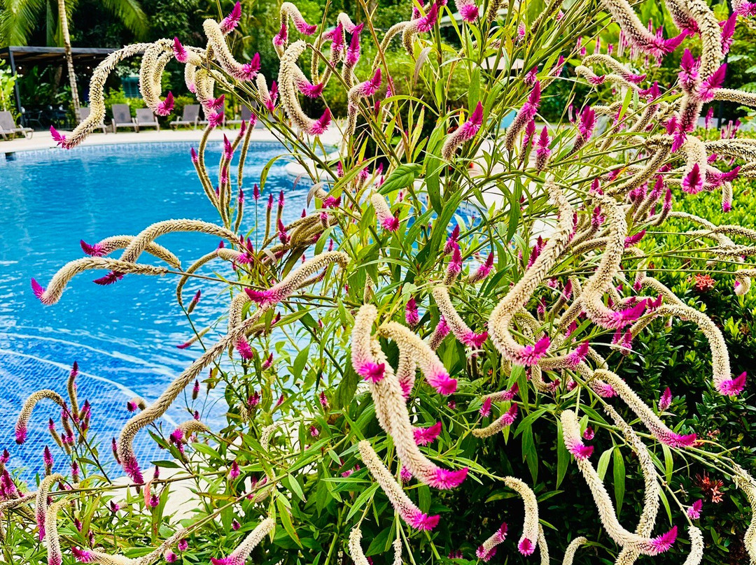 Manzanillo Caribbean Resort主图