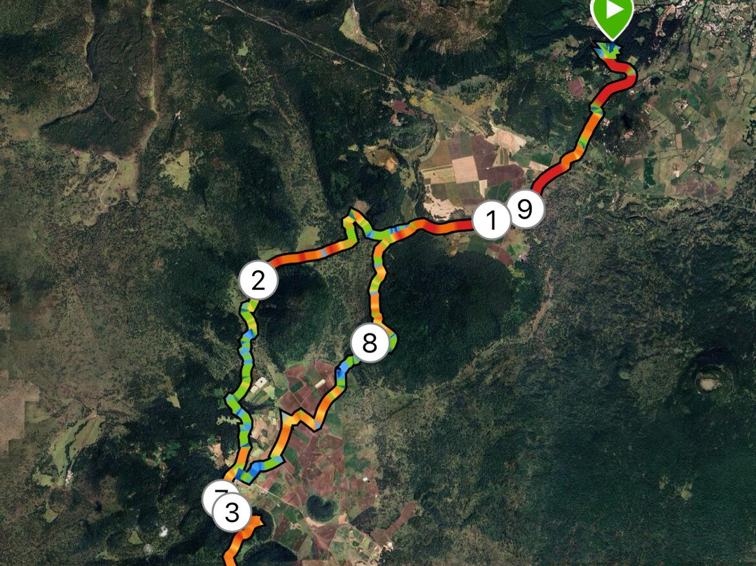 ATVForestal-墨西哥城必去景点