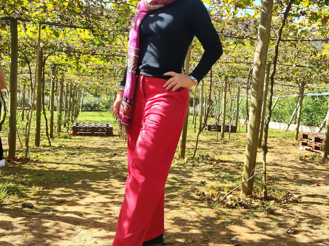 Vinícola XV de Novembro-Sao Roque必去景点