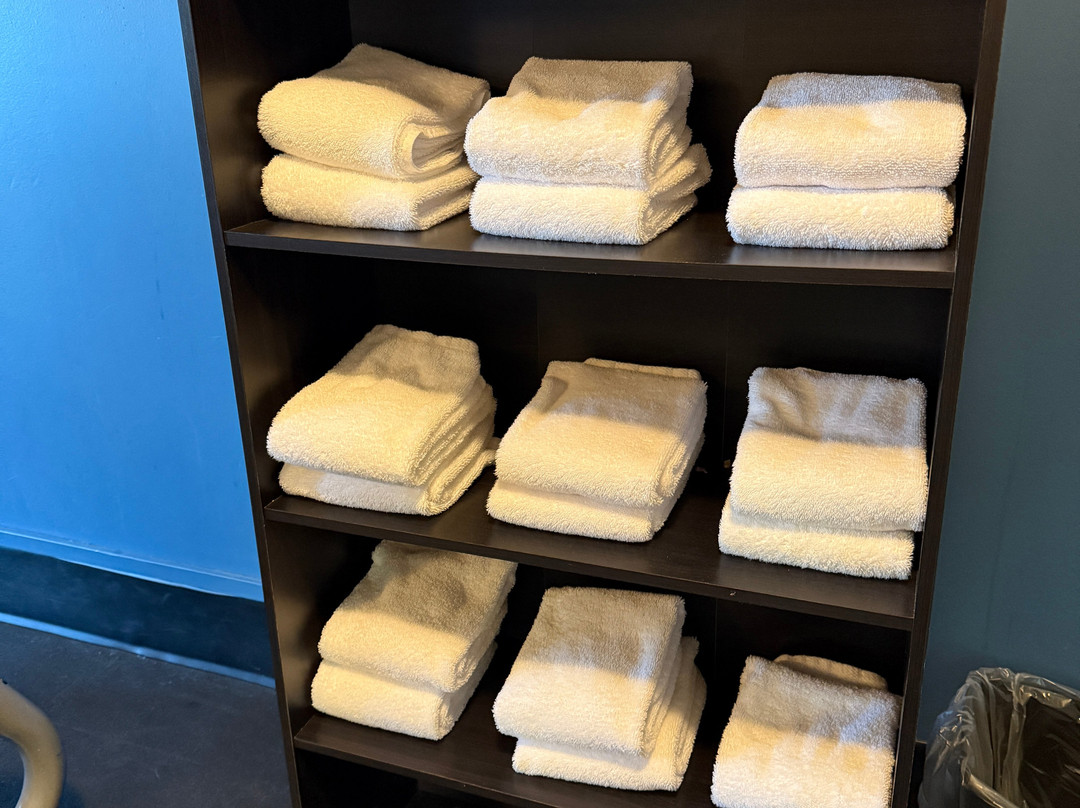 Comfort Inn Bathurst主图