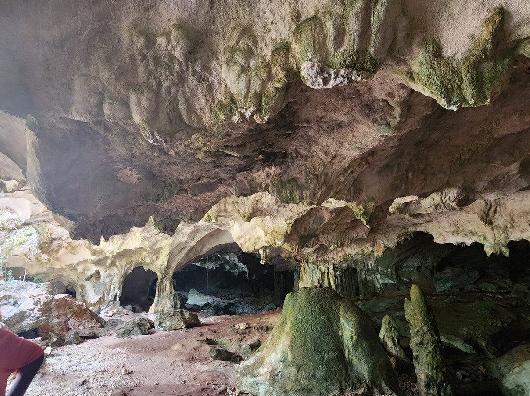 Conch Bar Caves-Conch Bar必去景点
