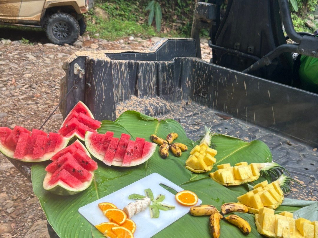 Jungle ATV Quad Tours景点图片