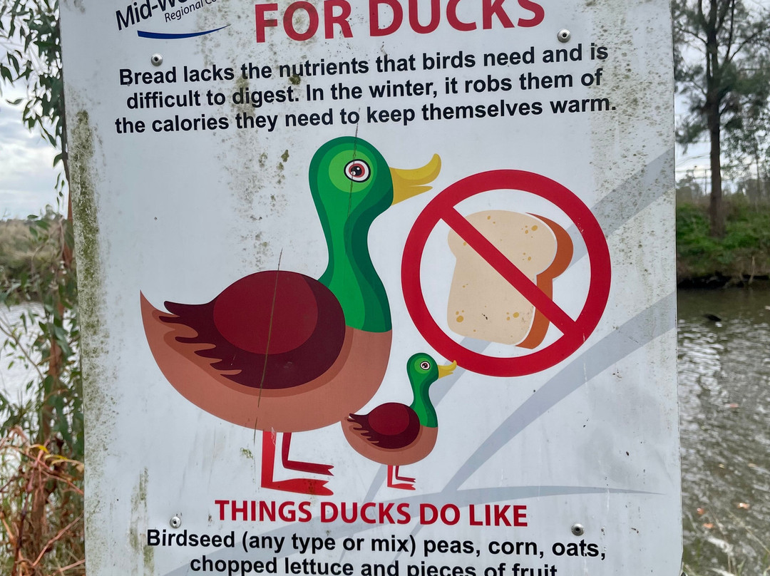 Lawson Park-马奇必去景点