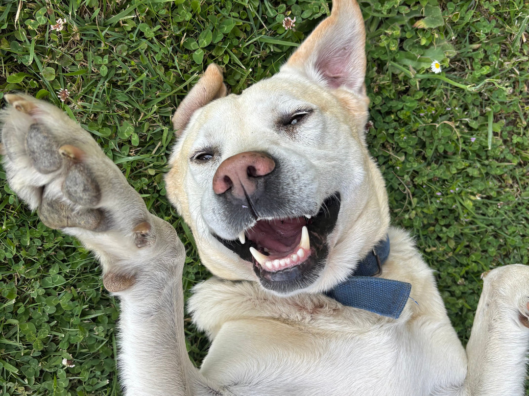 Fattoria Marecoccola-索伦托必去景点