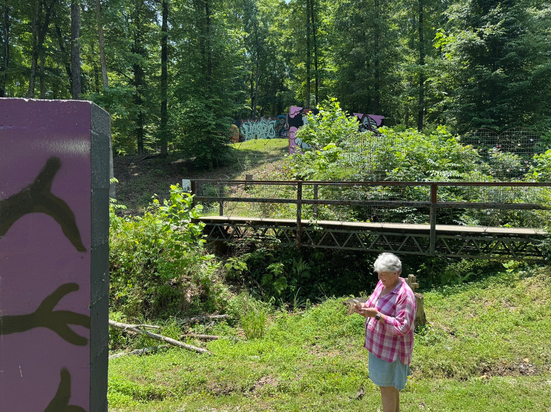 The Walls Art Park-Waverly必去景点