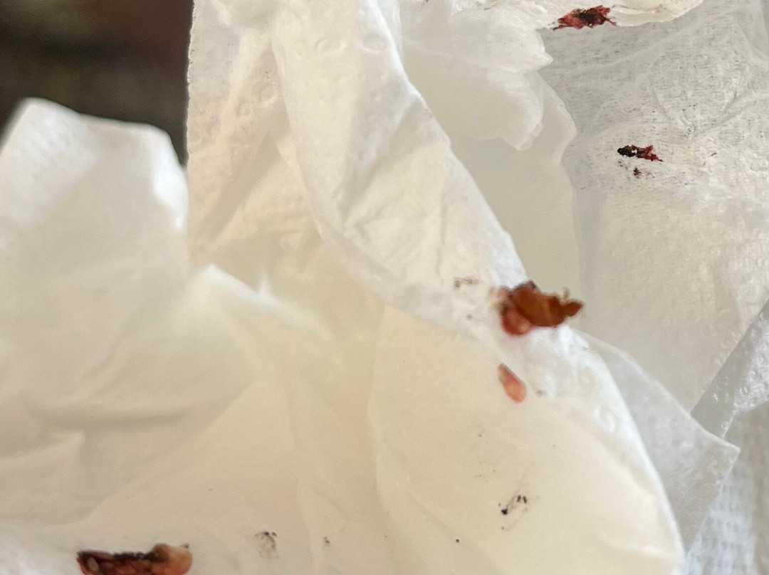 Super 8 by Wyndham Holton主图