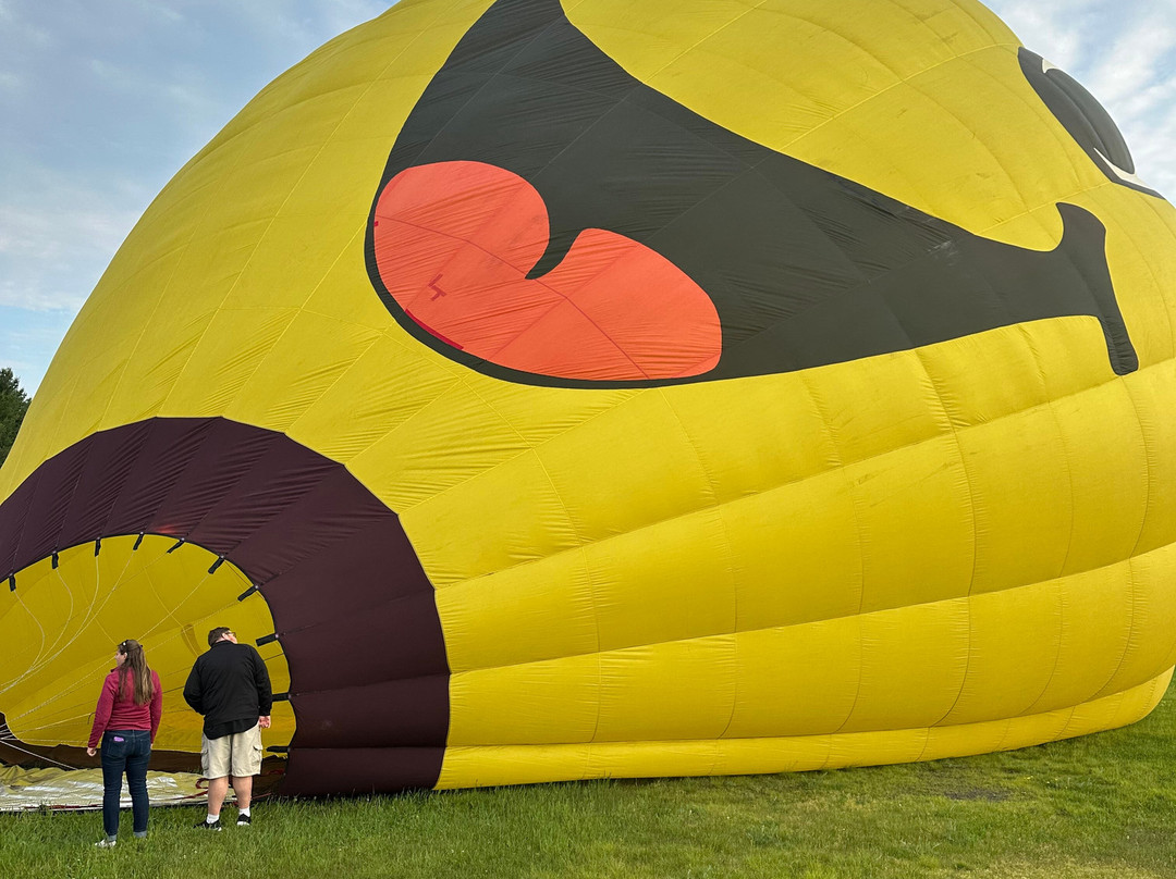 Sunkiss Ballooning景点图片