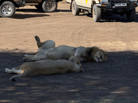 Ellington Safaris-坎帕拉必去景点