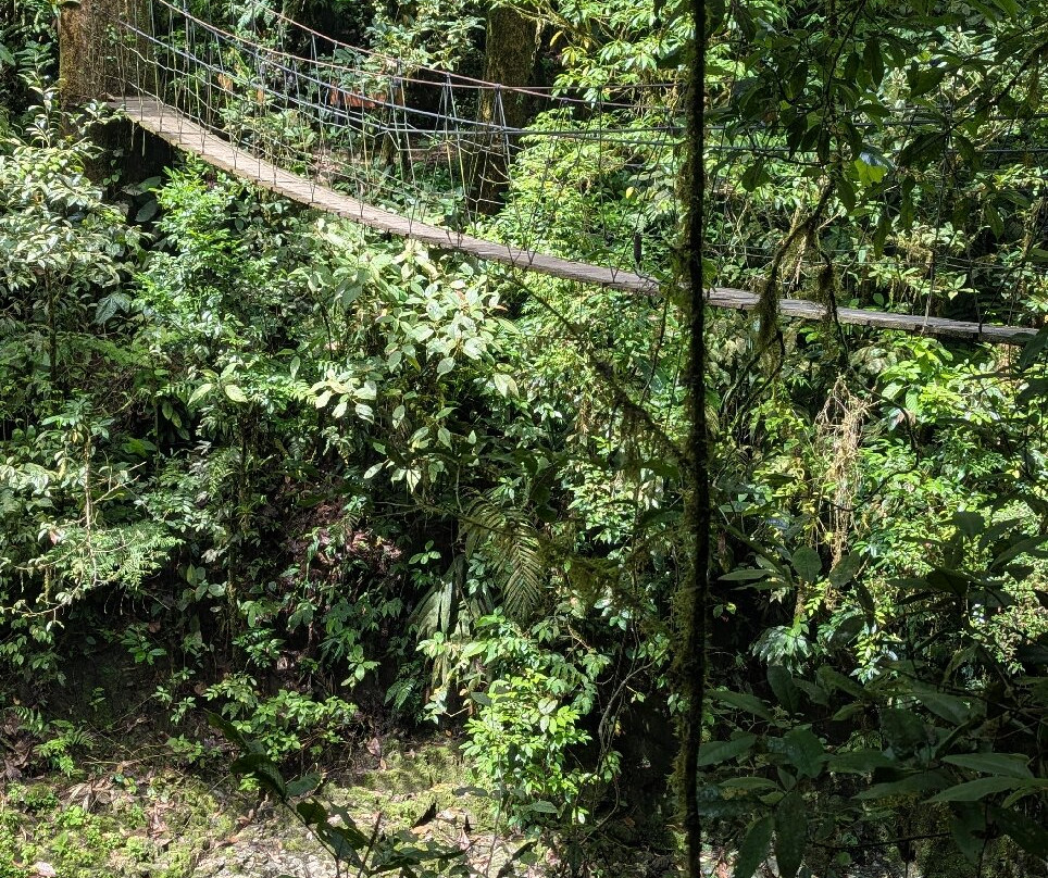 Los Pinos - Cabañas & Reserva主图