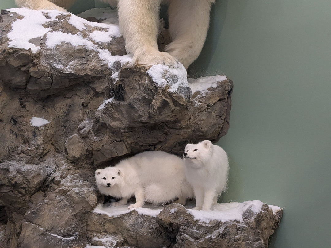 Outdoor Discovery Center-荷兰村必去景点