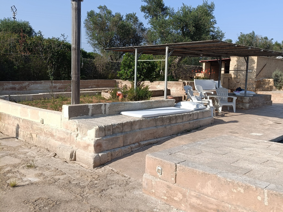 B&B Villa delle Palme主图