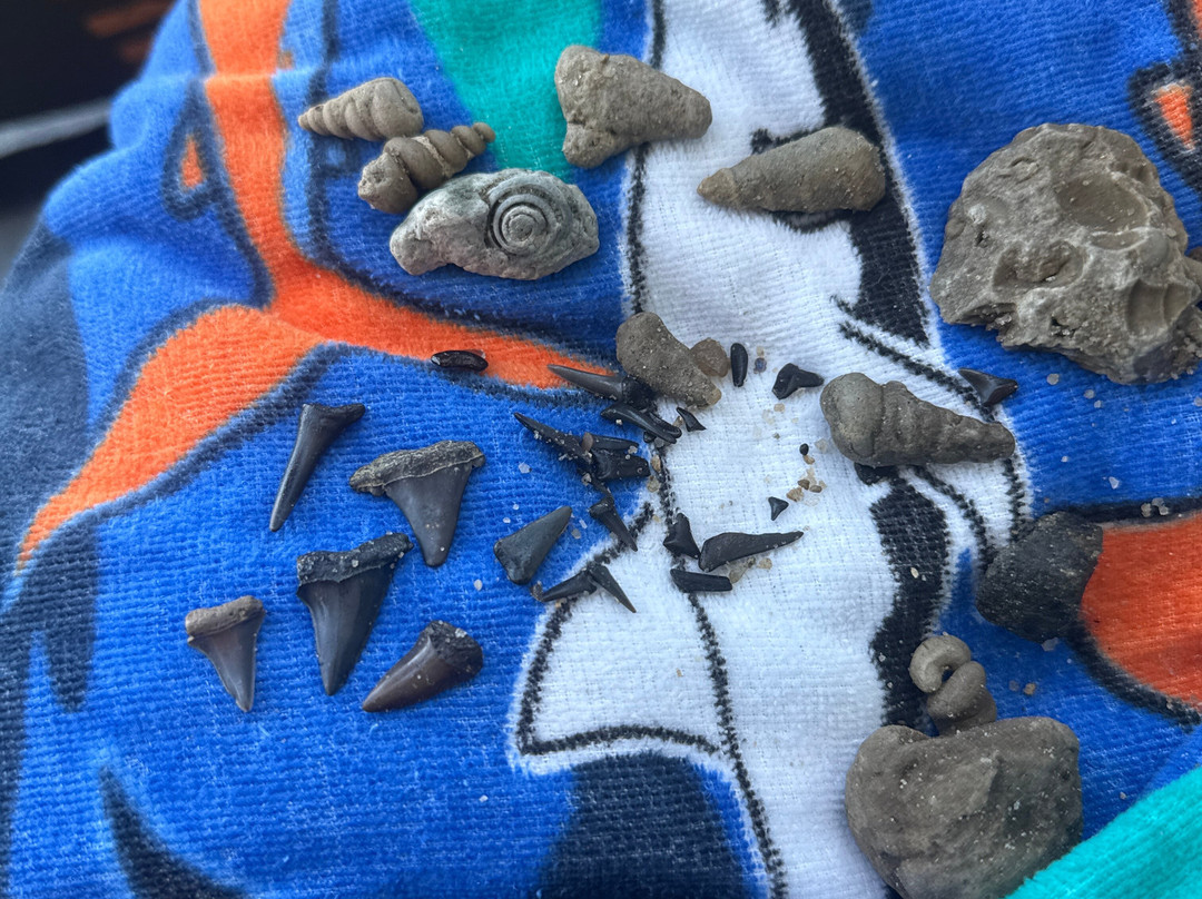 Kayak Carolina-Kure Beach必去景点