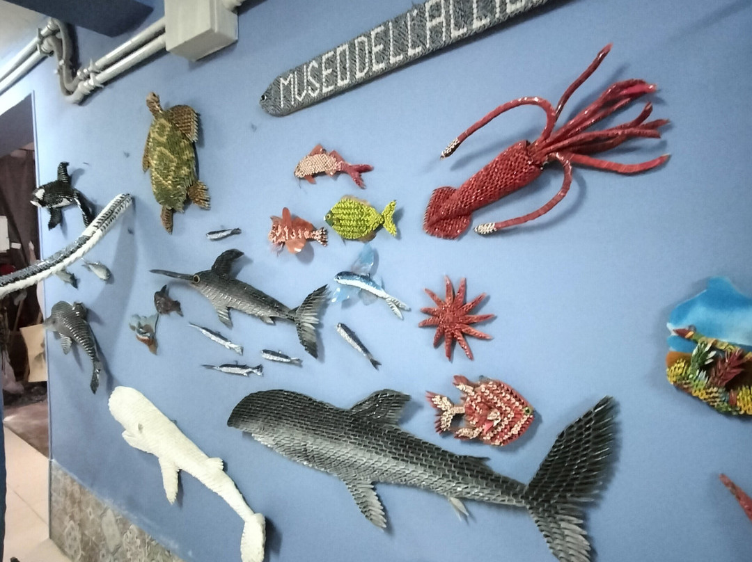 Museo dell'Acciuga景点图片