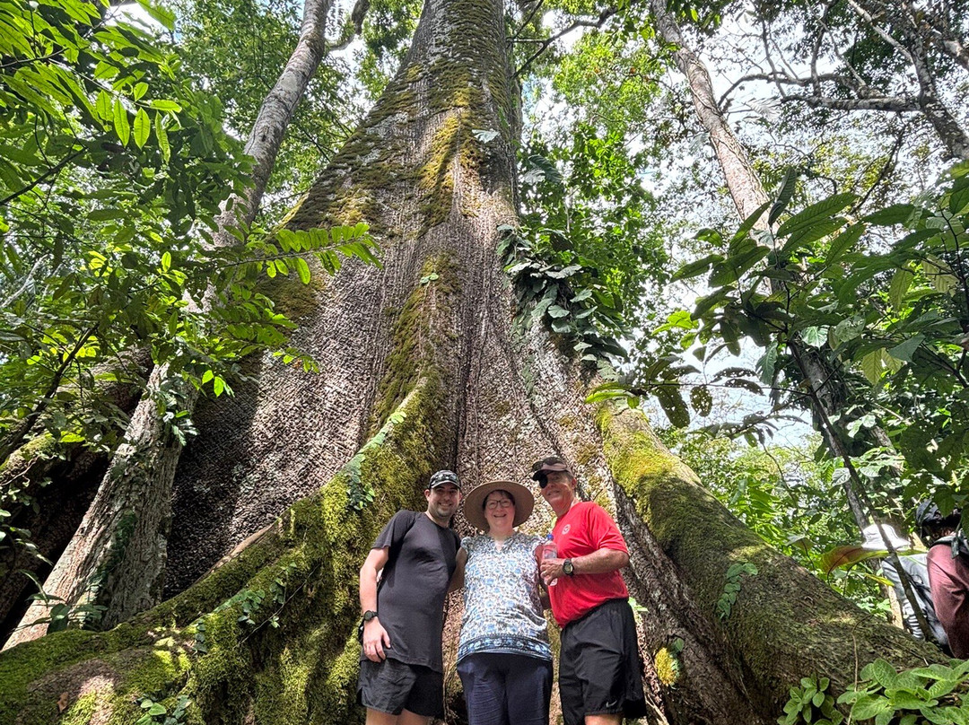 Rancho Raices De Puerto Jimenez-希门尼斯港必去景点
