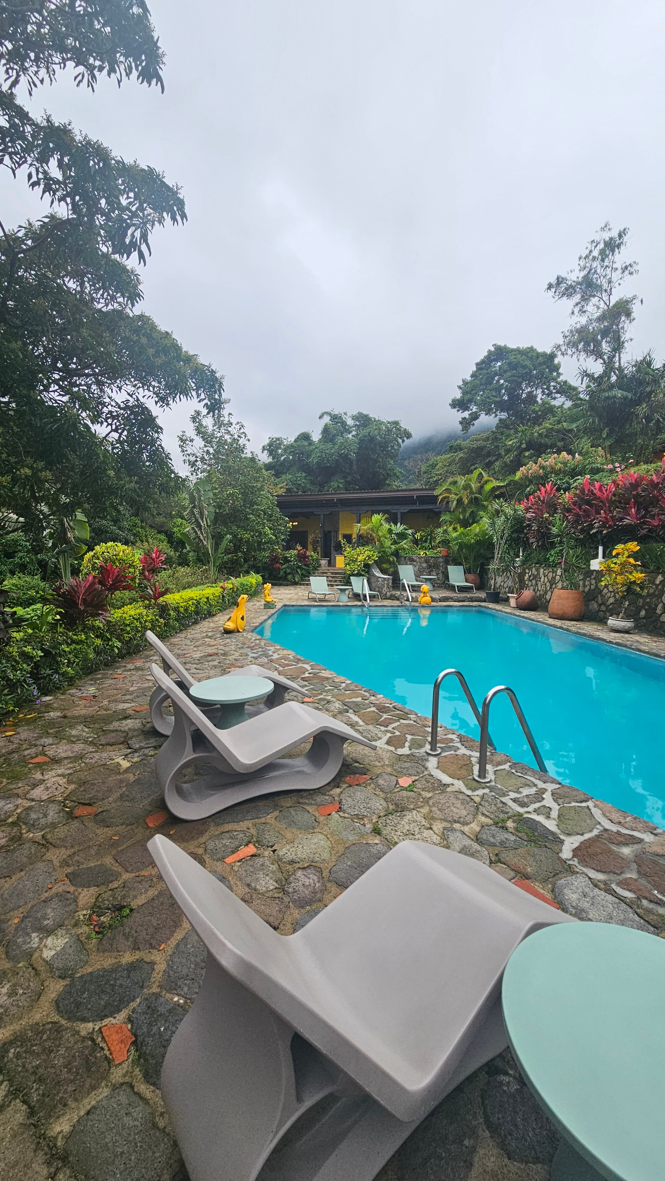 The Golden Frog Inn-官方