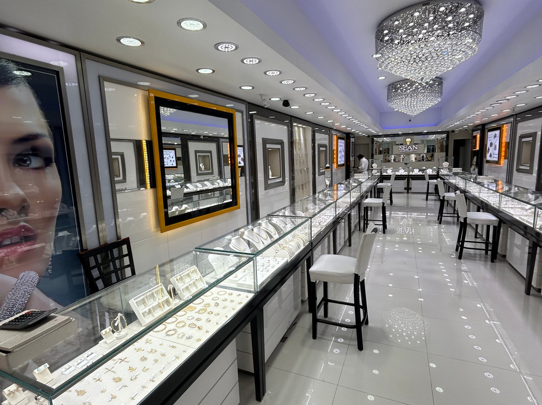 Sean Jewels-棕榈/鹰海滩必去景点