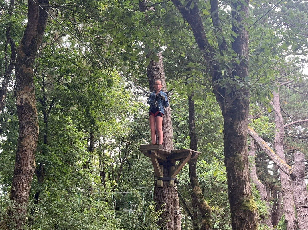 Piriac Adventure Tree climbing-Piriac-sur-Mer必去景点