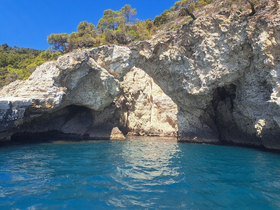 Motobarche Leonarda-维耶斯泰必去景点