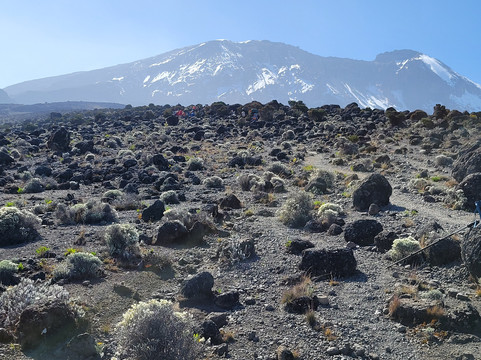 Africa Climbers & Adventures-莫西必去景点