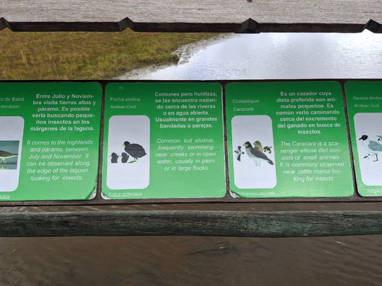 Laguna de Limpiopungo-拉塔昆加必去景点