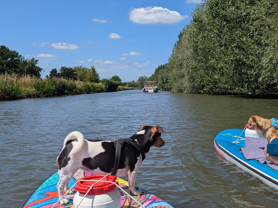 Sup & Beach-IJsselstein必去景点